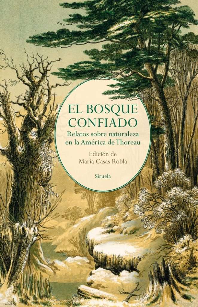 el bosque confiado varios autores